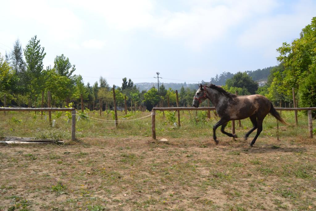 Quinta Do Mosteiro Villa Фелгейрас Екстериор снимка